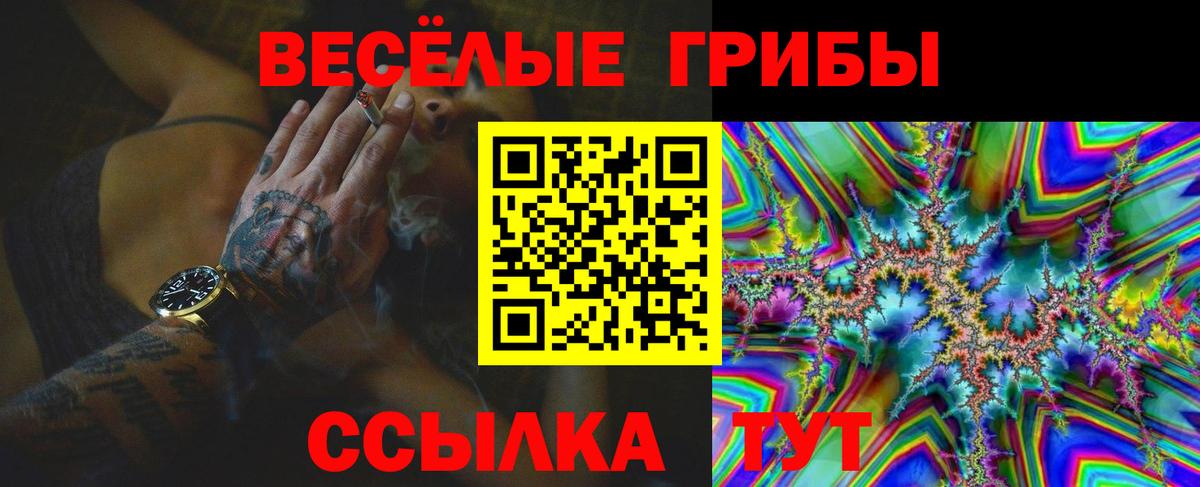 Новошахтинск  Псилоцибиновые грибы мицелий  Вход с VPN 
